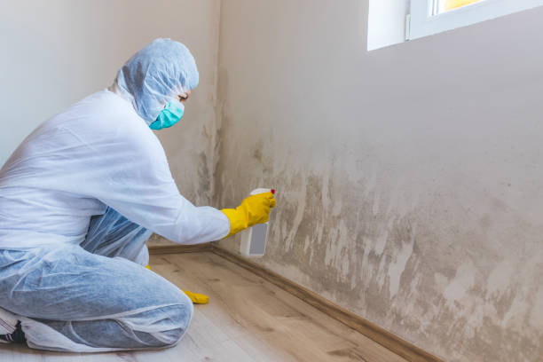 Licensed Commercial Mold Remediation service in Union, OR - WQB Mold Removal