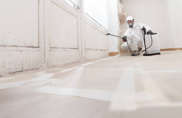 24/7 Emergency Commercial Mold Remediation experts in Union, OR