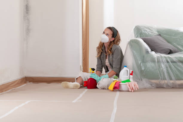 Reliable Commercial Mold Remediation contractor in Union, OR by WQB Mold Removal
